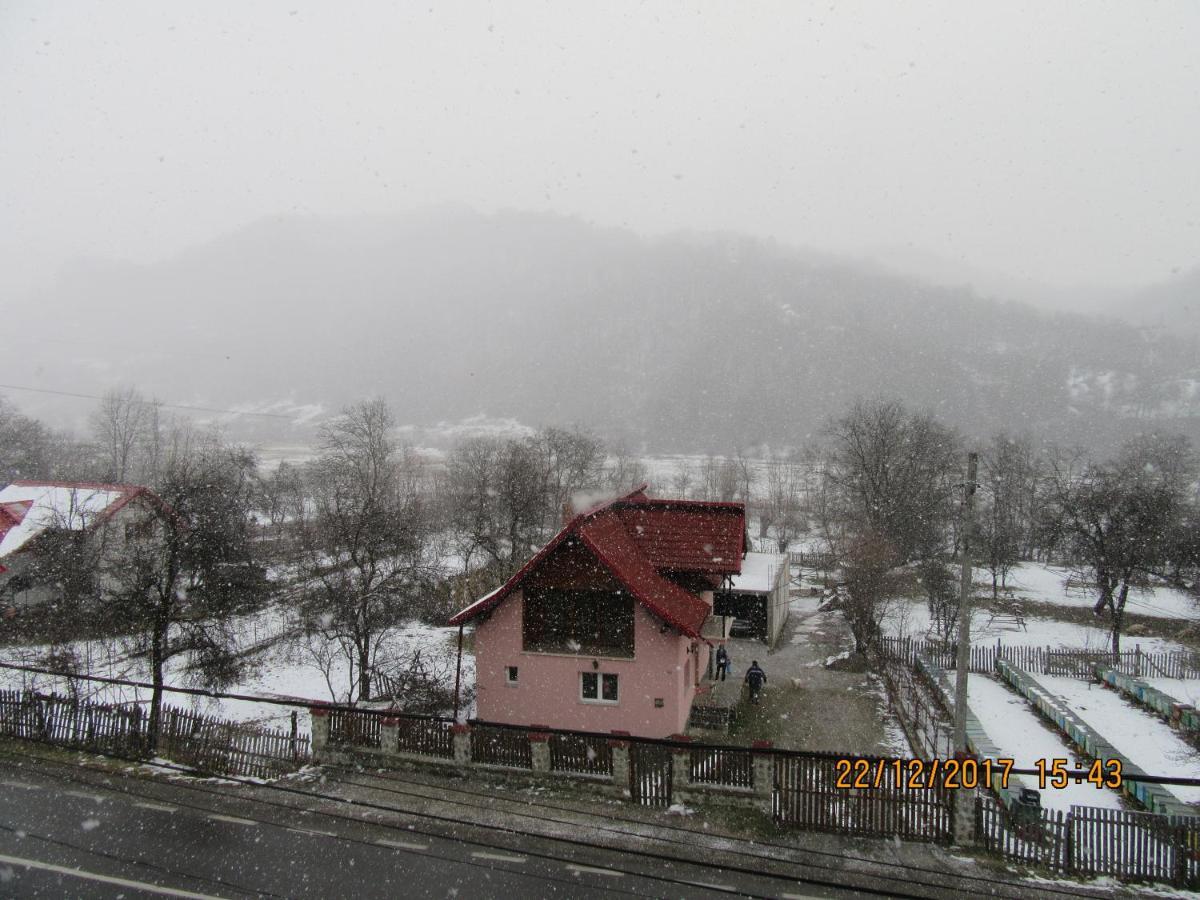 Pensiunea Nicky Oestii Ungureni Exterior photo