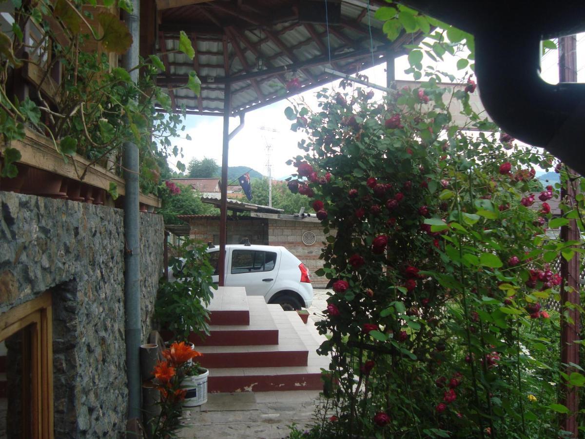 Pensiunea Nicky Oestii Ungureni Exterior photo